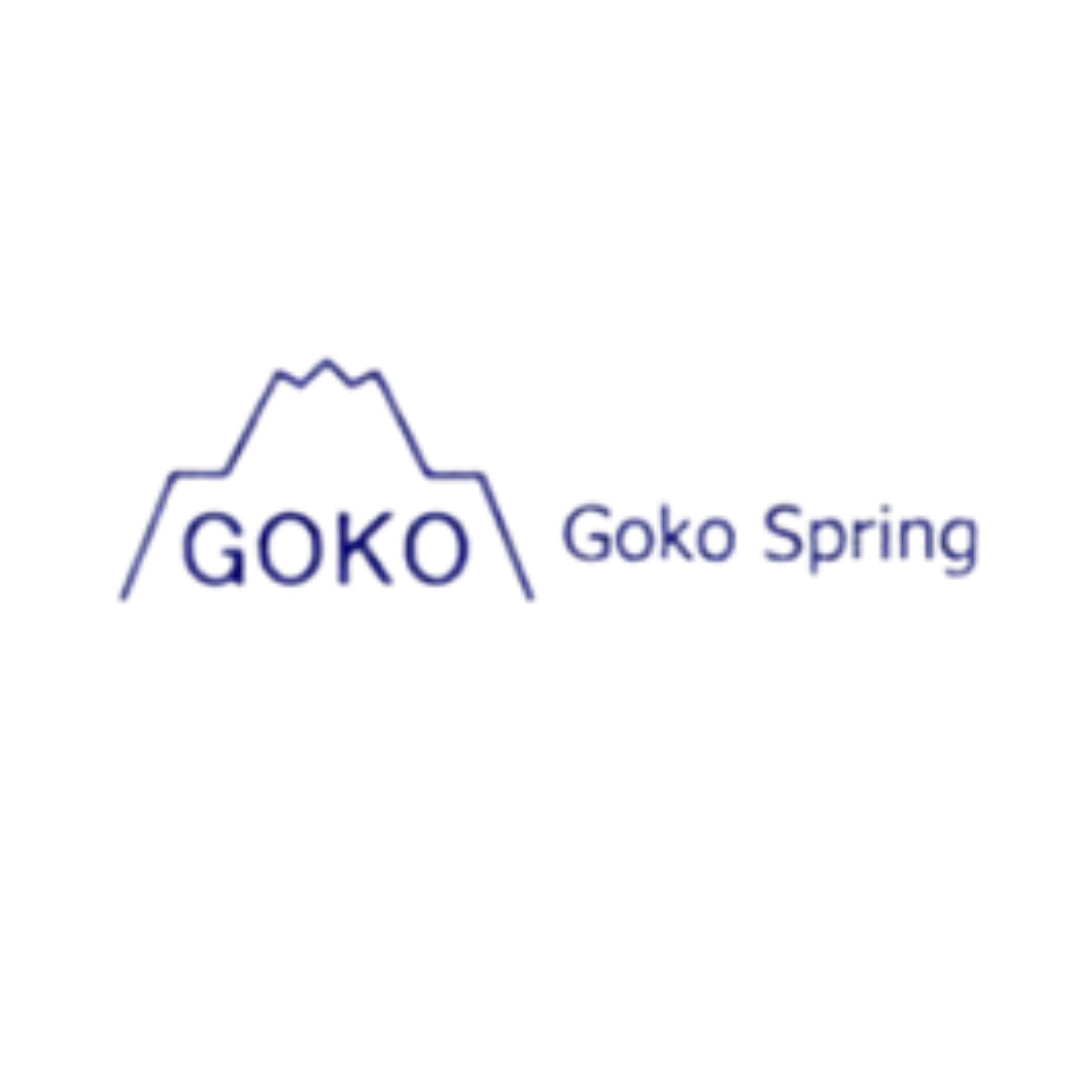 PT Goko Spring Indonesia